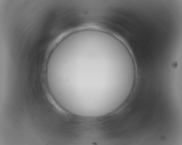X0000114671477200910210958