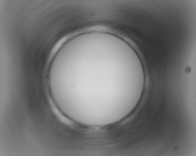 X0000114671478200910210958