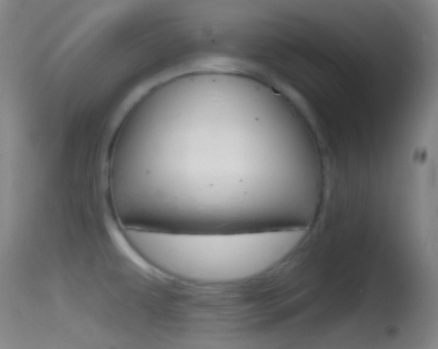 X0000114671479200910210958
