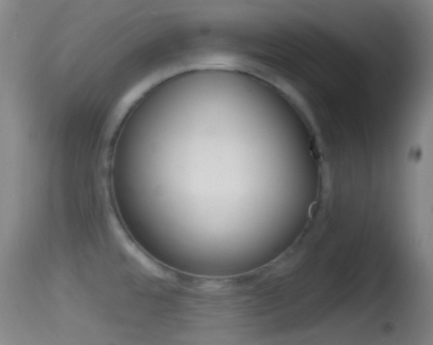 X0000114671480200910210958