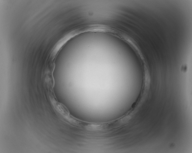 X0000114671481200910210958
