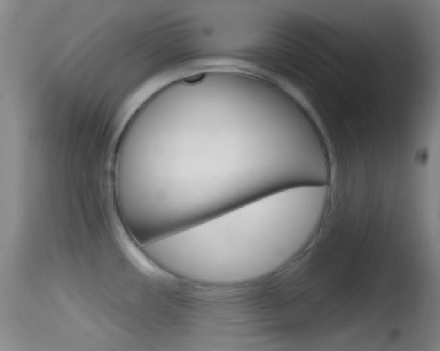 X0000114671482200910210958