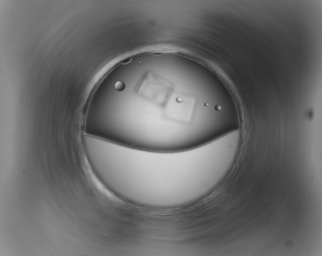 X0000114671484200910210958