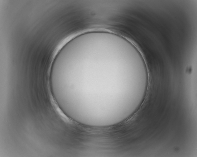 X0000114671485200910210958