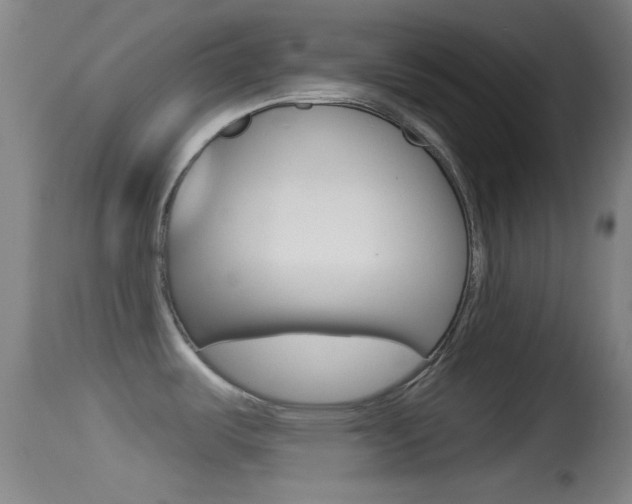 X0000114671487200910210957