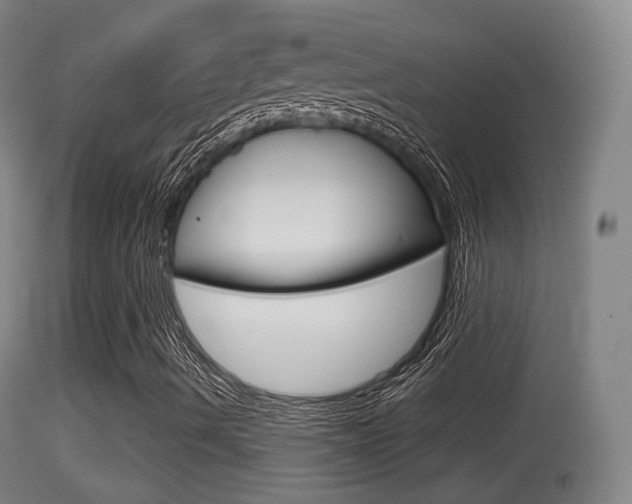 X0000114671490200910210957