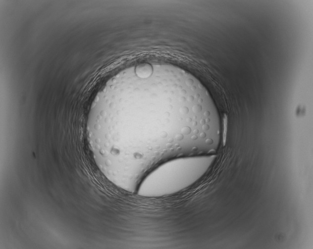 X0000114671491200910210957