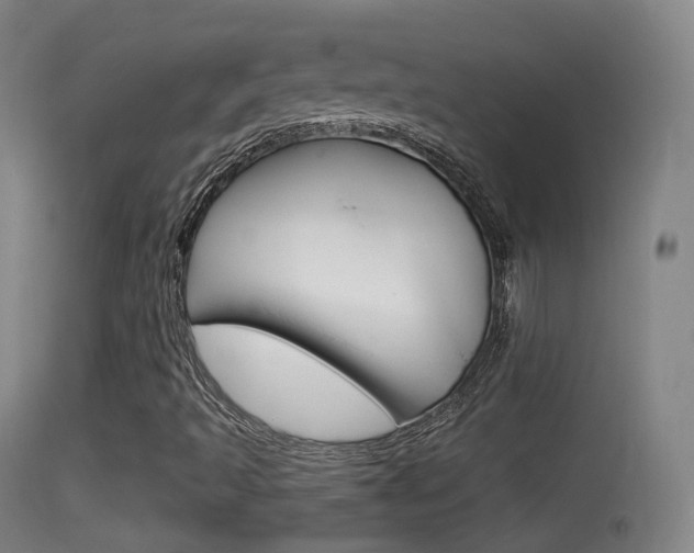 X0000114671493200910210957