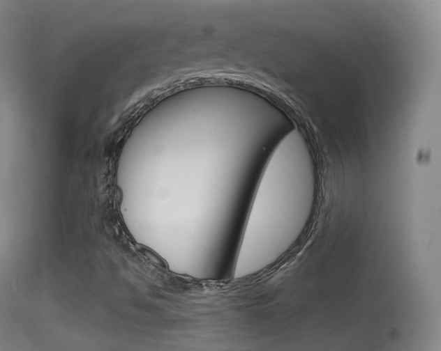 X0000114671494200910210957