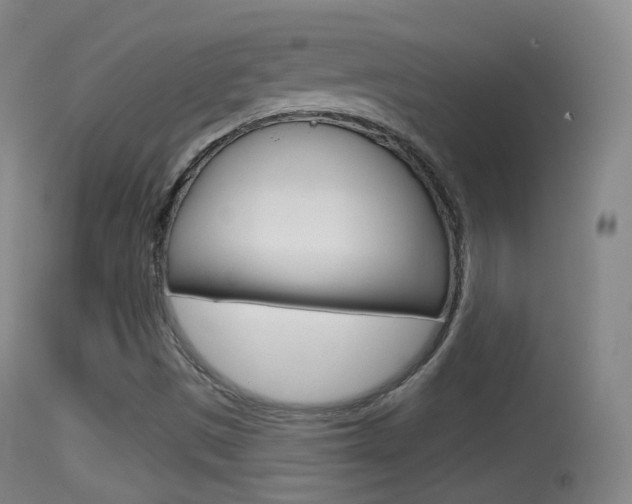 X0000114671497200910210957
