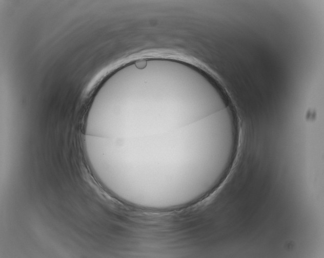 X0000114671498200910210957