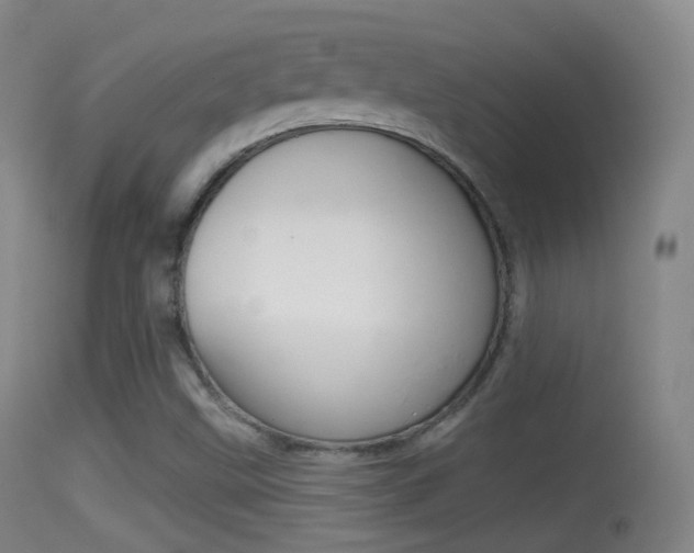 X0000114671499200910210957