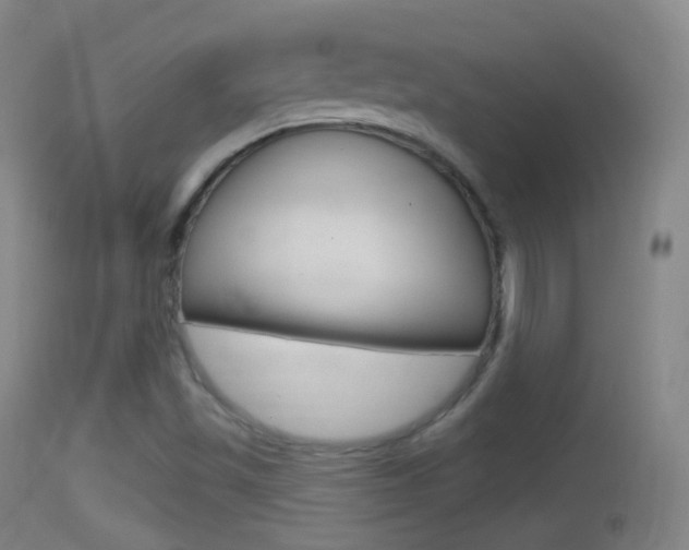 X0000114671501200910210957