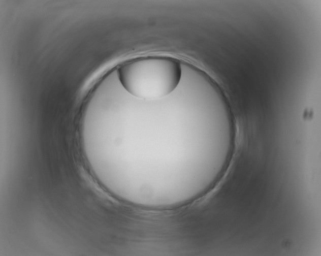 X0000114671502200910210957