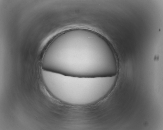 X0000114671503200910210957