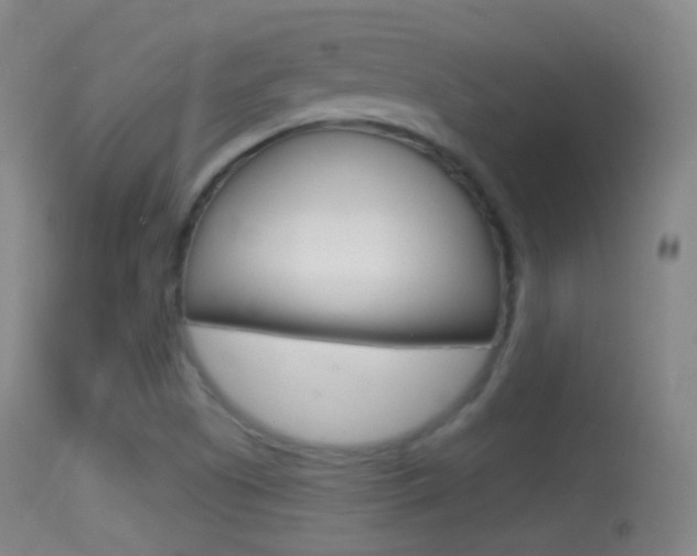 X0000114671505200910210957