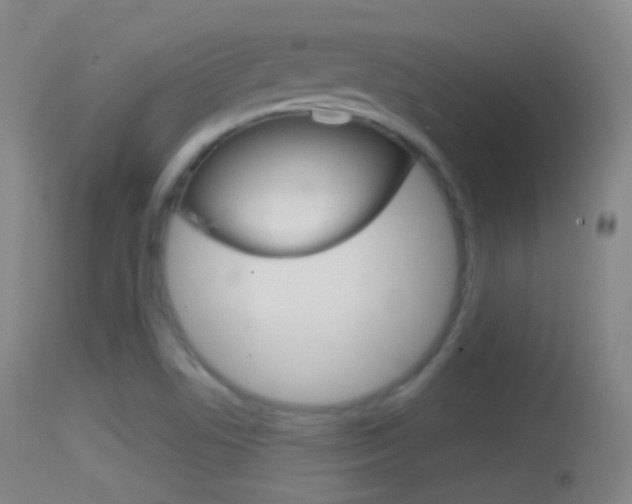 X0000114671506200910210957