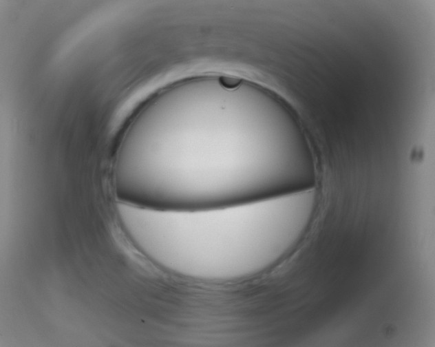 X0000114671507200910210957