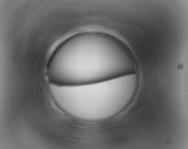 X0000114671509200910210957