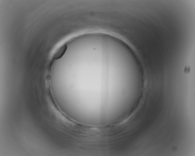 X0000114671510200910210957