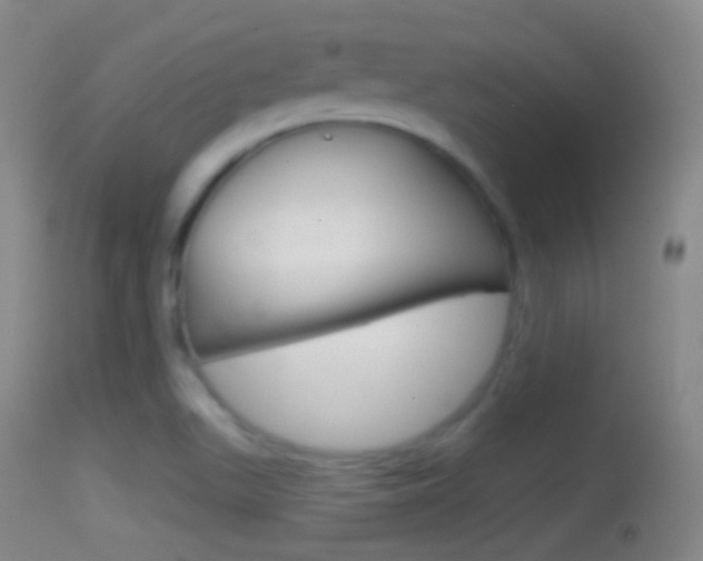 X0000114671511200910210957