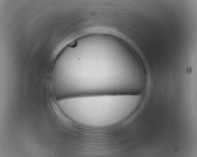 X0000114671513200910210957
