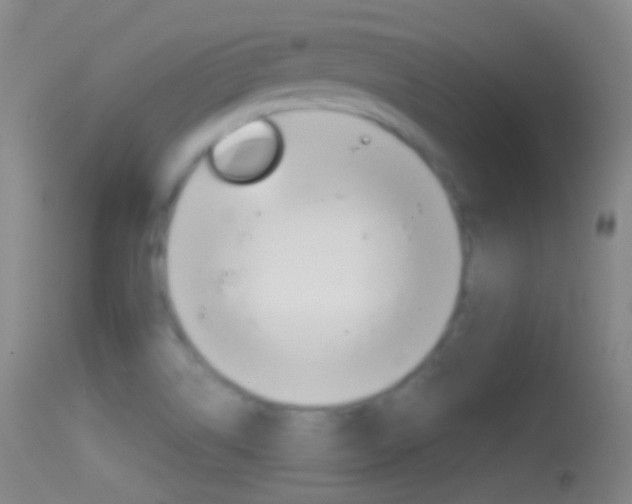 X0000114671514200910210957