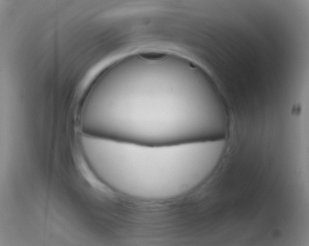 X0000114671515200910210957