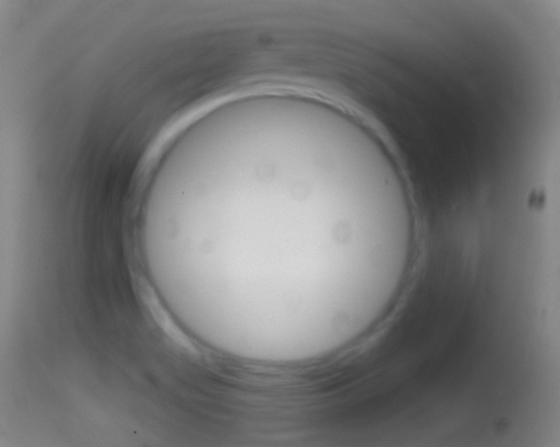X0000114671517200910210957