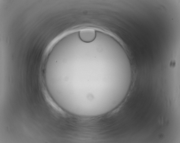 X0000114671518200910210957
