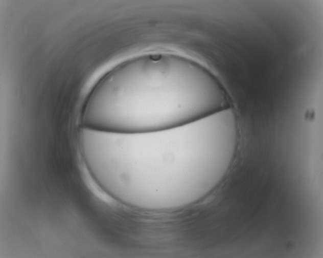 X0000114671519200910210957