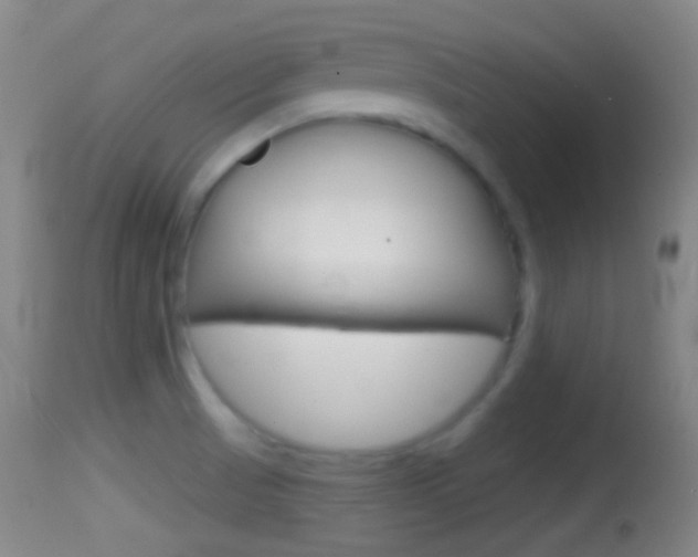 X0000114671521200910210957
