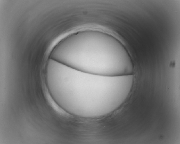 X0000114671523200910210957