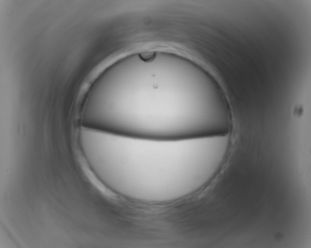 X0000114671525200910210957