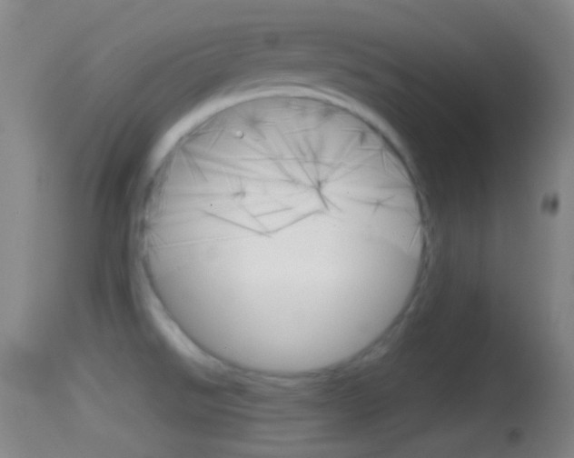 X0000114671526200910210957