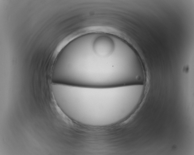 X0000114671529200910210957