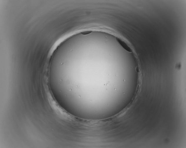 X0000114671530200910210957