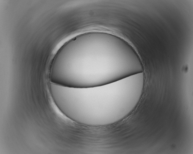 X0000114671531200910210957