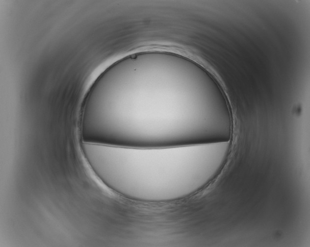 X0000114671533200910210957