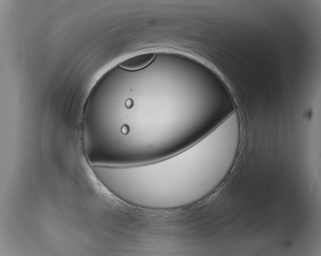 X0000114671534200910210957