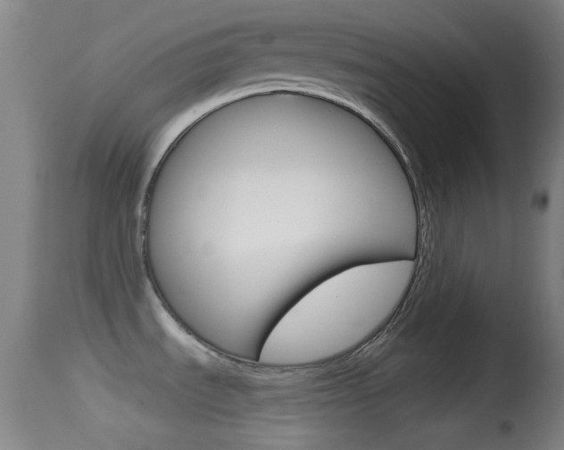 X0000114671535200910210957