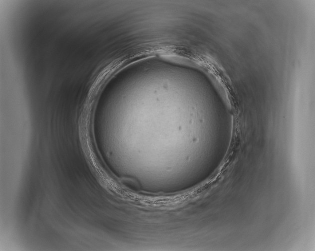 X0000114670001200910211159