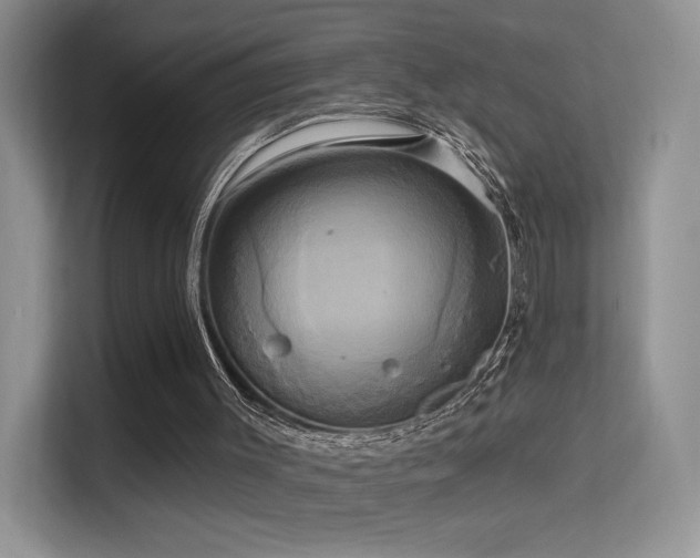 X0000114670003200910211159