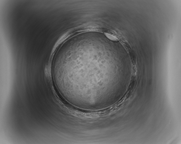 X0000114670004200910211159