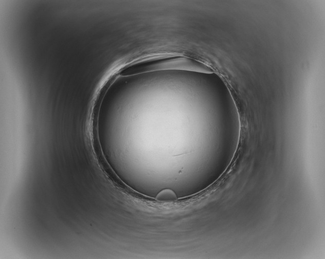 X0000114670006200910211159