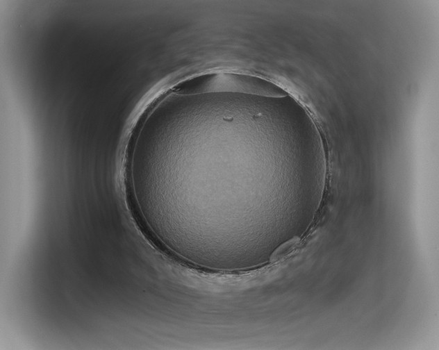 X0000114670007200910211159