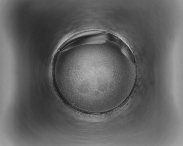 X0000114670008200910211159