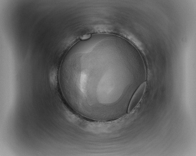 X0000114670009200910211159