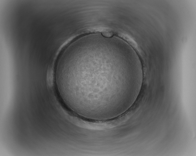 X0000114670012200910211159