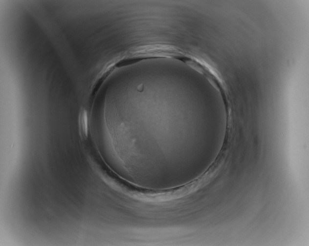 X0000114670013200910211159